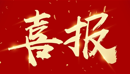 喜訊┃集團(tuán)黨委書記、董事長(zhǎng)向誠(chéng)榮獲市委表彰