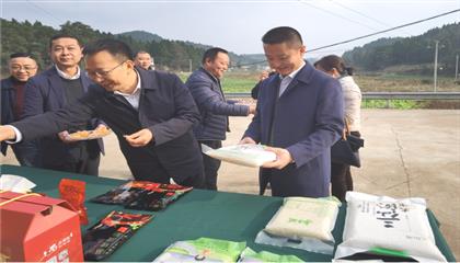 市委常委、政法委書(shū)記劉波濤帶隊(duì)調(diào)研指導(dǎo)定點(diǎn)幫扶村鄉(xiāng)村振興工作